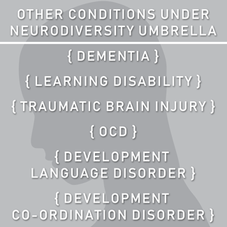 Other Neurodiversity Conditions